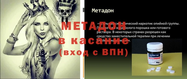 прущие грибы Аркадак