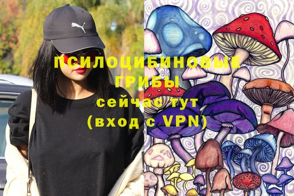 сатива Армянск