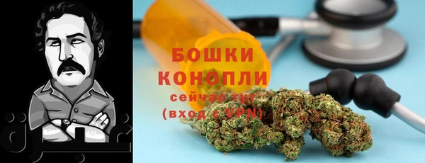 прущие грибы Аркадак