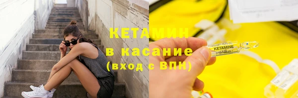 прущие грибы Аркадак