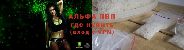 сатива Армянск