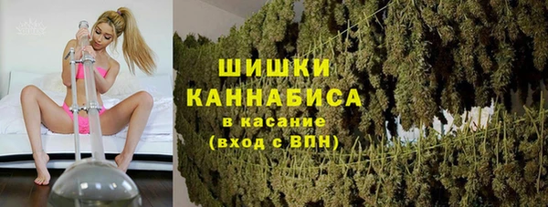 сатива Армянск