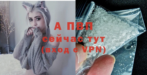 сатива Армянск