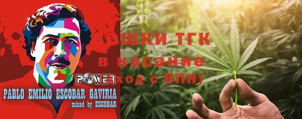 прущие грибы Аркадак
