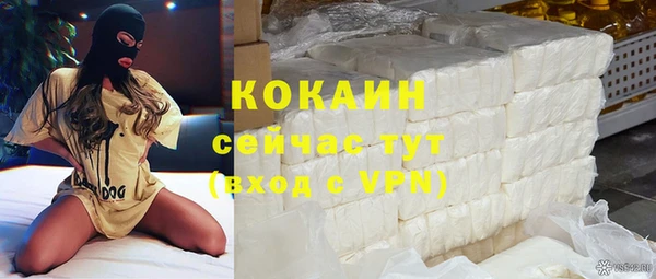 прущие грибы Аркадак