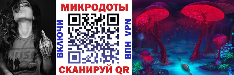 Галлюциногенные грибы Psilocybine cubensis  Спасск-Рязанский 